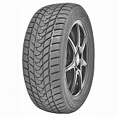 шина Delinte Winter WD1 205/55R16 91T в Санкт-Петербурге