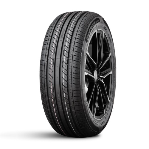 DoubleStar DH05 205/55R16 91V