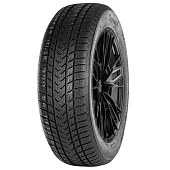 GRIPMAX SureGrip eWinter 205/40R17 84V XL BSW