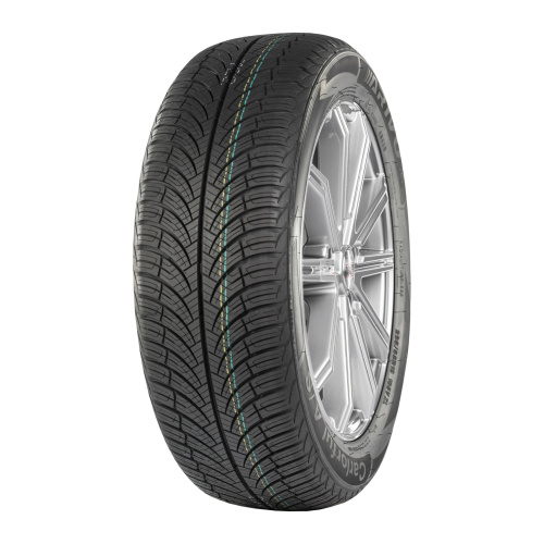 ARIVO Carlorful A/S 195/65R15 95V XL