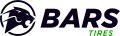 модели шин шины bars в Санкт-Петербурге
