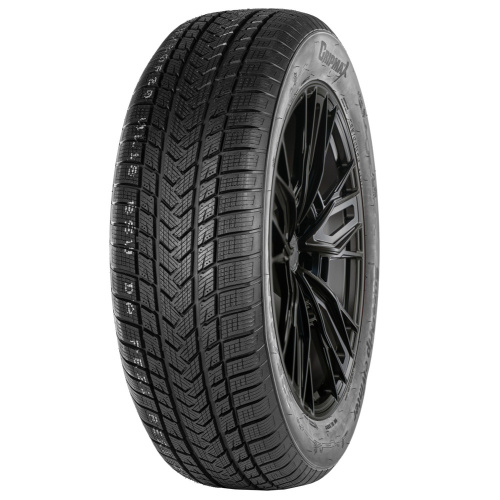 Gripmax SureGrip eWinter 225/45R17 94V XL BSW