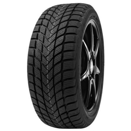 Delinte Winter WD6 225/50R17 98T