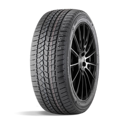 DoubleStar DW02 205/55R16 91T